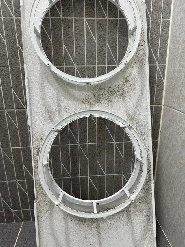 앞선 격자를 다시 촬영했습니다